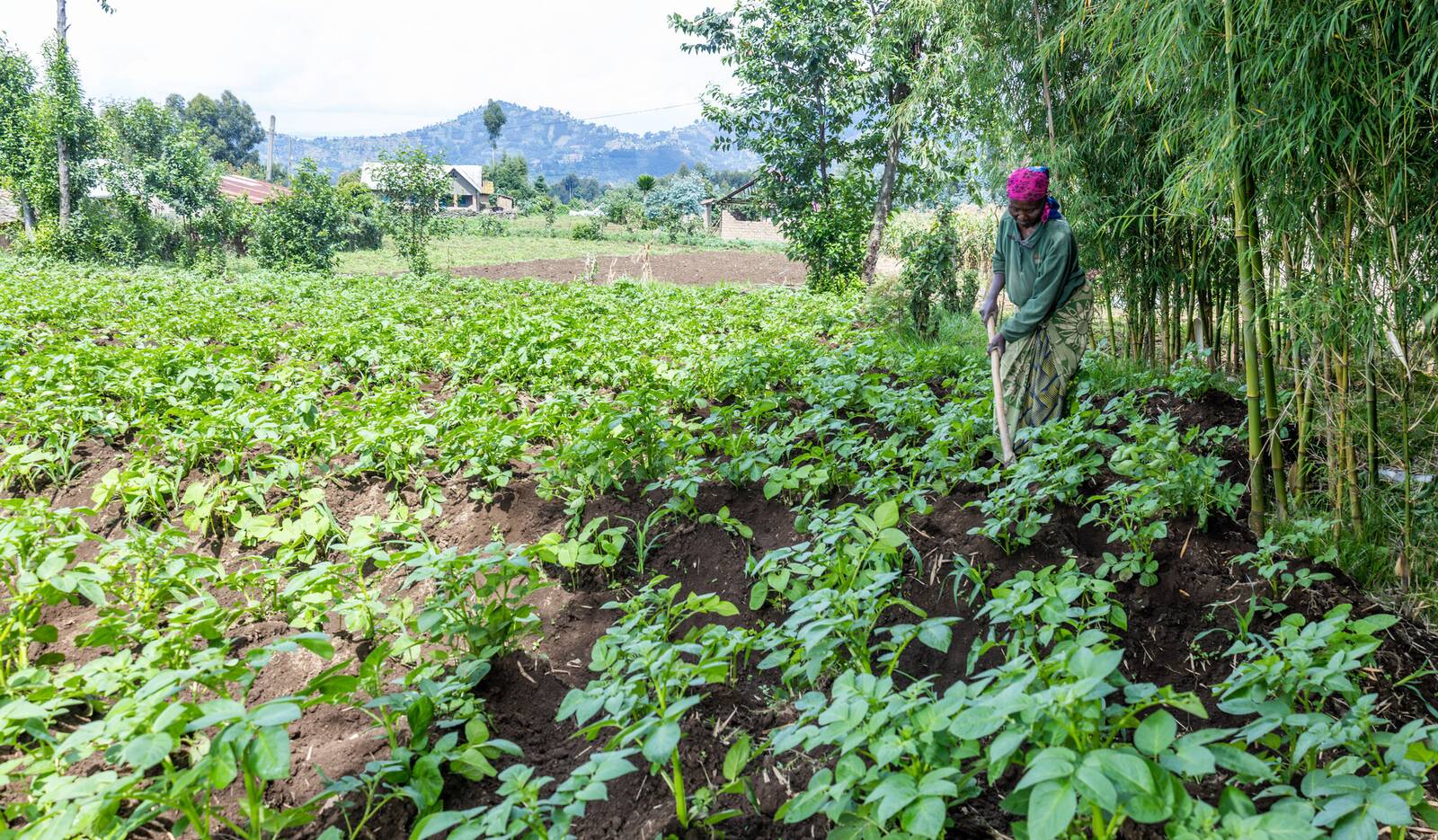 Life in Rwanda