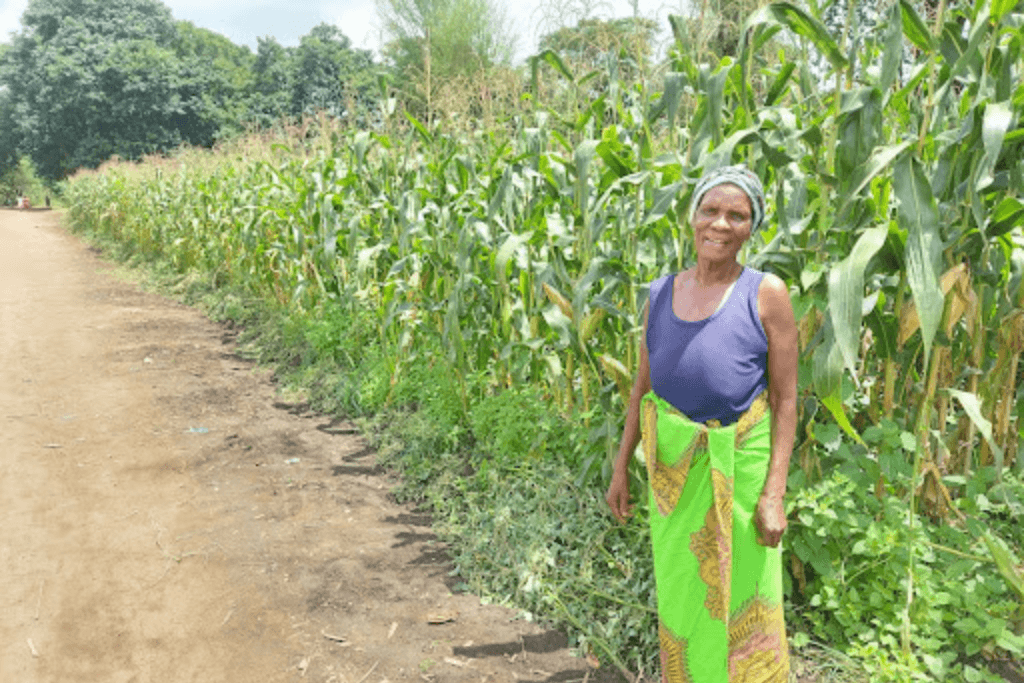Climate Resilience