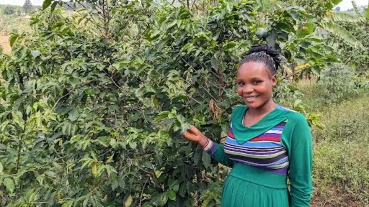 Cash for Coffee Farmers