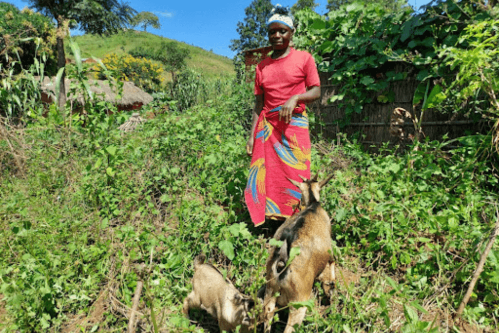 Cash+ Food and Nutrition Security