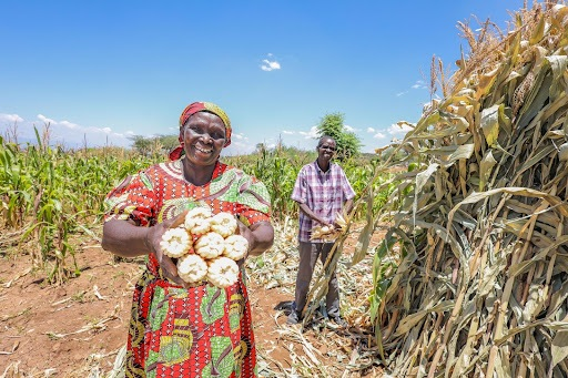 Large Cash Transfer