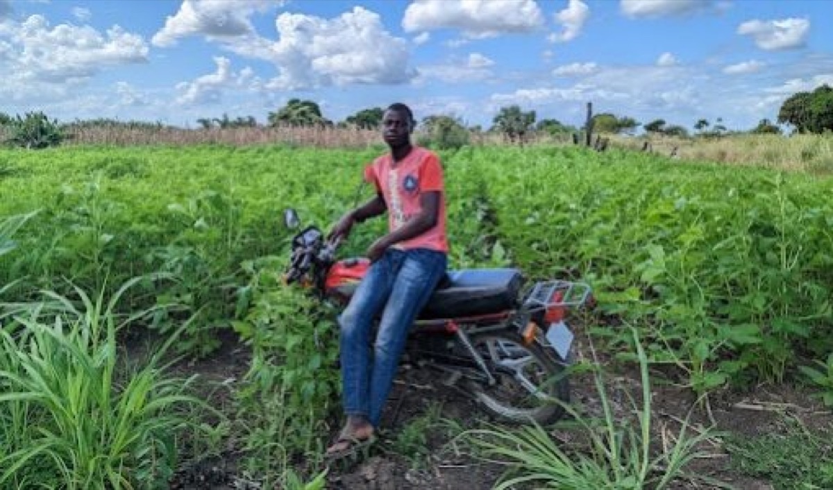 Cash+ Resilient Agriculture and Livelihoods