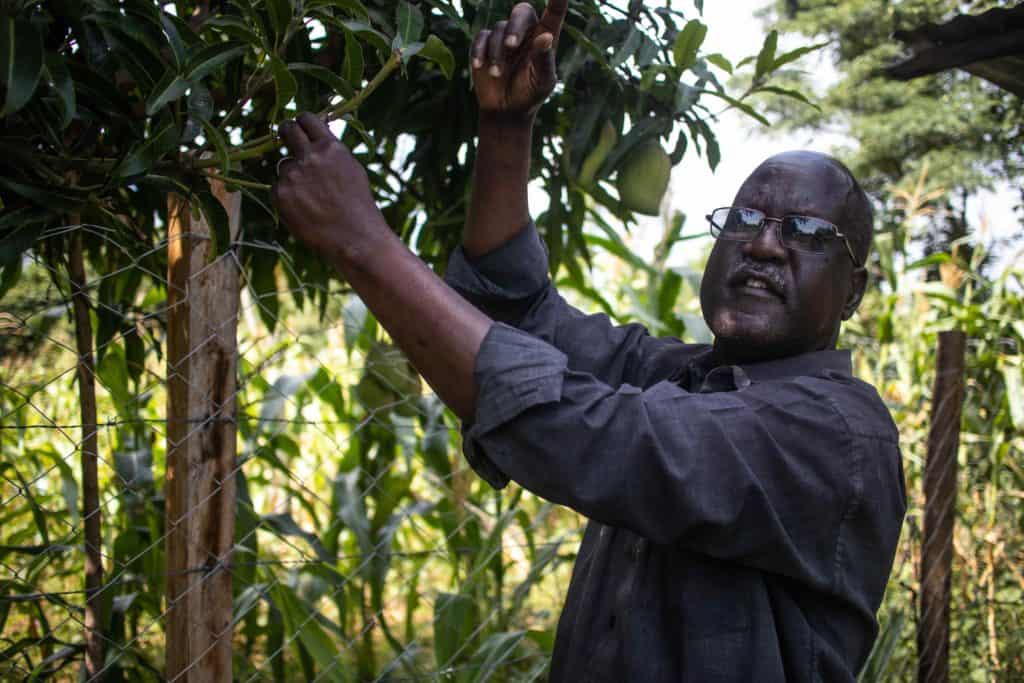 Henry with his mango tree