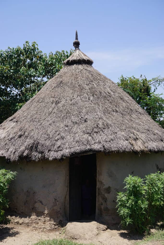 House with thatched roof