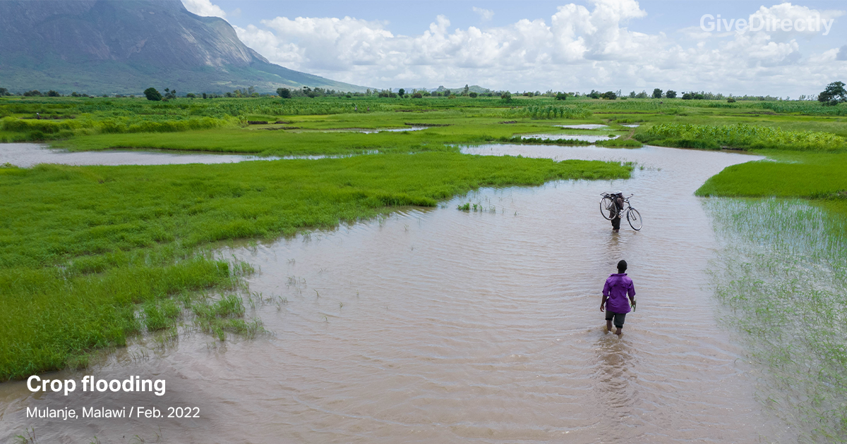 The neglected climate change solution