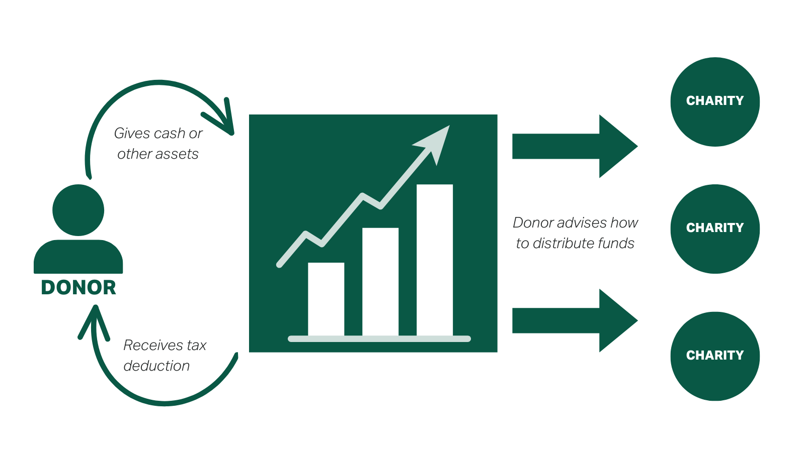 Guide to donoradvised funds GiveDirectly