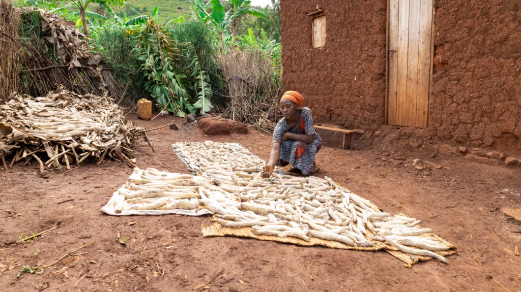 Florence drying cassava in Rwanda