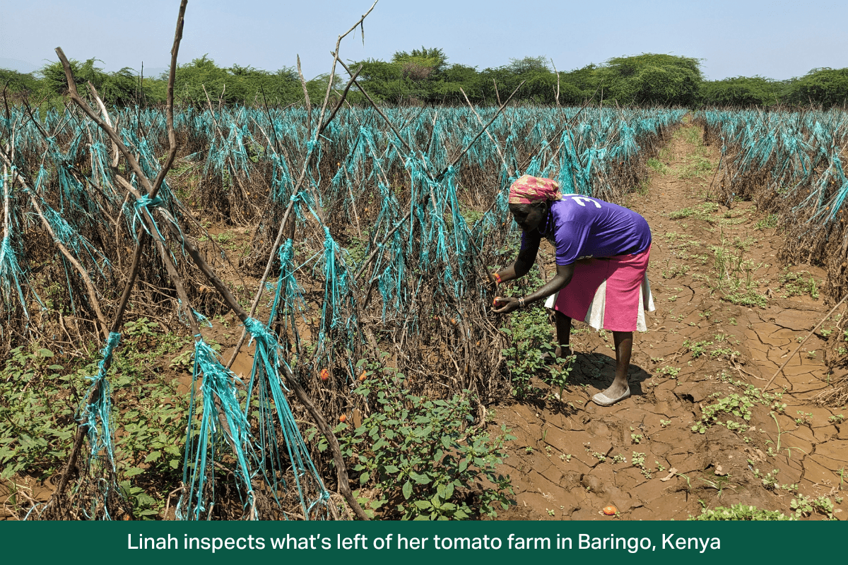 cash-relief-for-kenya-flood-survivors-june-2024